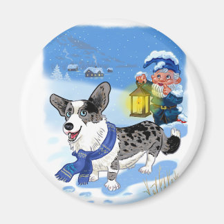 Íman Corgi Blue Merle
