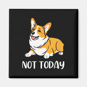 Íman Corgi Bonito Deu Um Cachorro Engraçado Não Hoje An