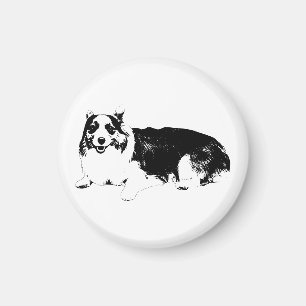 Íman Corgi Calmo Permanece Por Perto