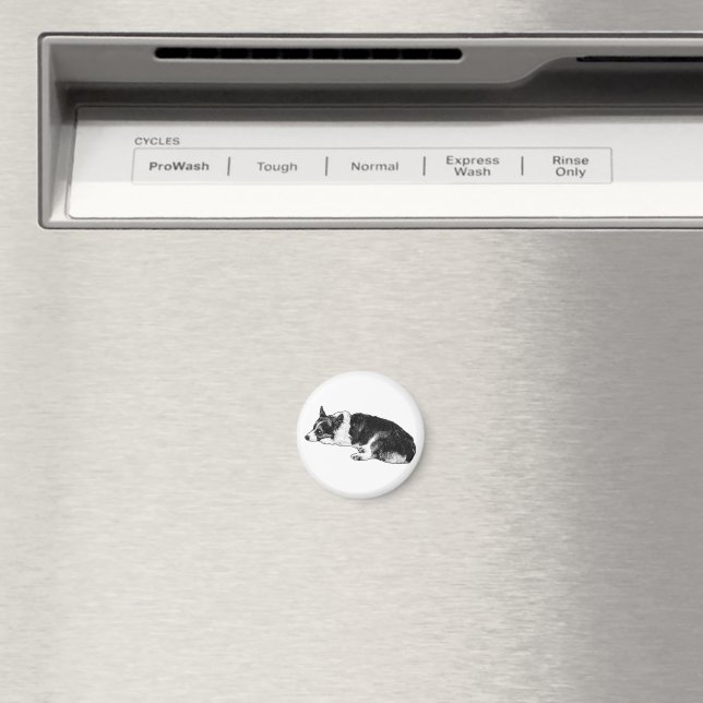 Íman Corgi com Expressão Composta (In Situ (Dishwasher))