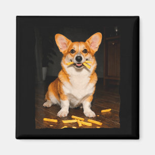Íman Corgi comendo batatas fritas meme de cachorro aman