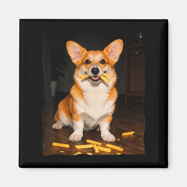 Íman Corgi comendo batatas fritas meme de cachorro aman (Frente)