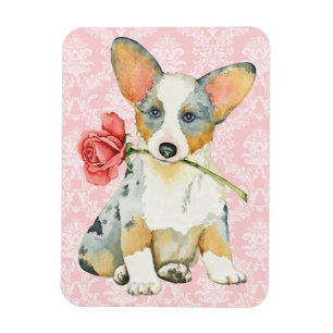 Íman Corgi cor-de-rosa de Galês do casaco de lã dos