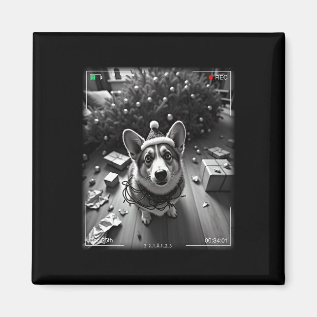 Íman Corgi de Natal Flagrado pela Câmera  (Frente)