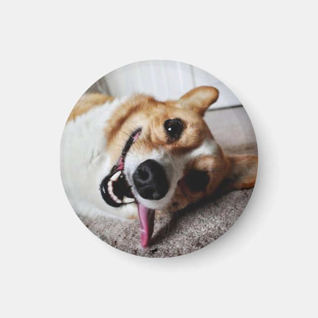 Íman Corgi Magnet (Frente)