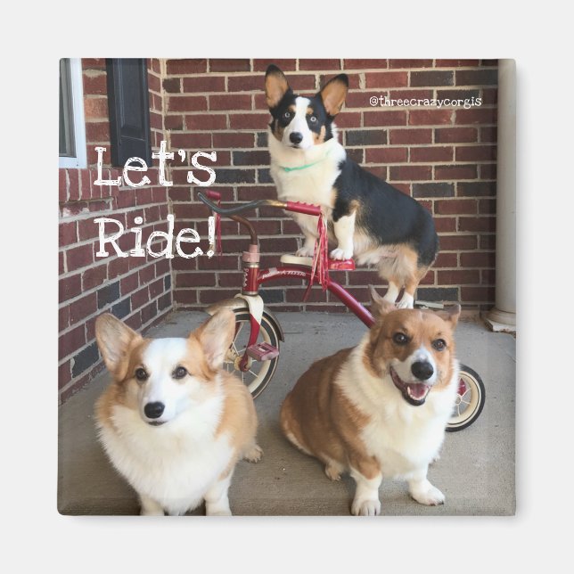 Íman Corgi Magnet (Frente)