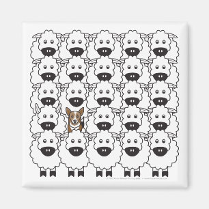 Íman Corgi na Ovelha