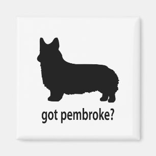 Íman Corgi obtido do Pembroke