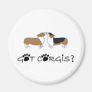 Íman Corgis obtidos?
