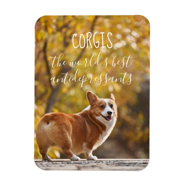 Íman Corgis, os melhores antidepressivos do mundo (Vertical)