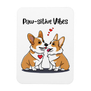 Íman Corgis Vibes no Amor