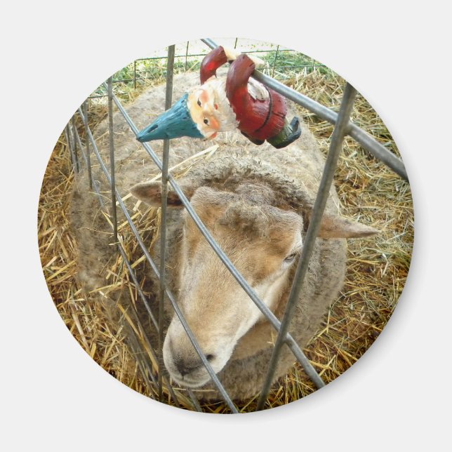 Íman Cornelius e Ovino (Frente)