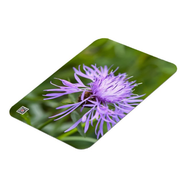 Íman Cornflower Roxo (Left Side)