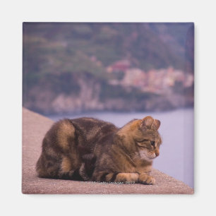 Íman Corniglia, Cinque Terre, Italia