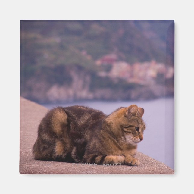 Íman Corniglia, Cinque Terre, Itália (Frente)