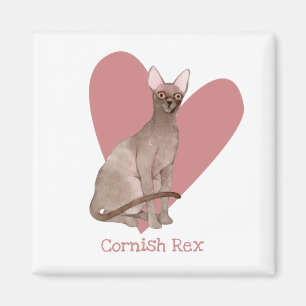 Íman Cornish Rex Cat Watercolor Gatinho Coração Rosa