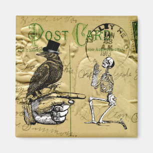 Íman Coroa e esqueleto