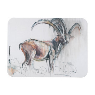 Íman Coronel di Vermianaz