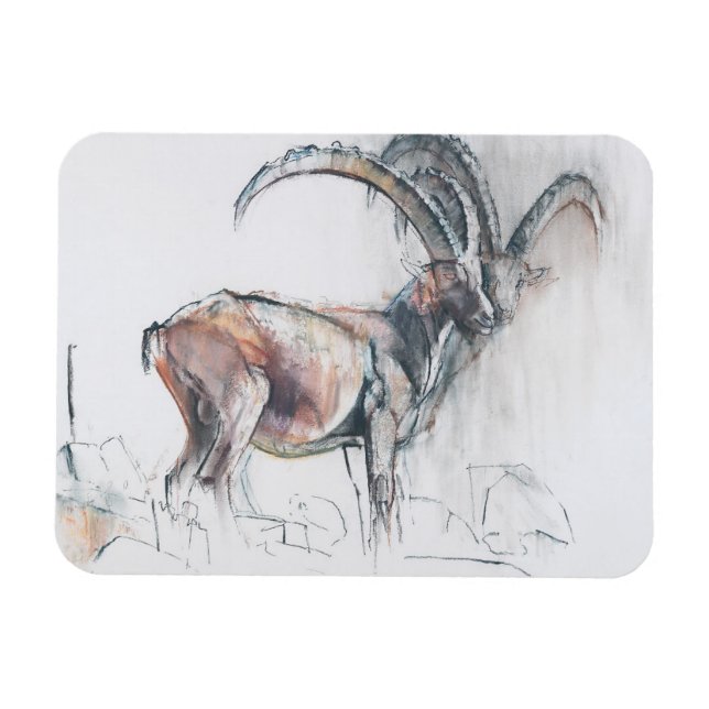 Íman Coronel di Vermianaz (Horizontal)