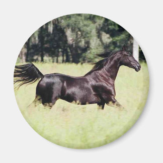 Íman corra como o vento