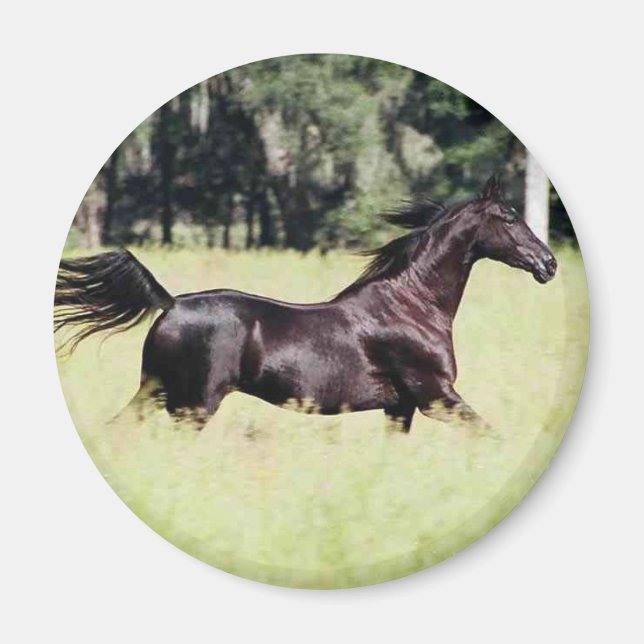 Íman corra como o vento (Frente)