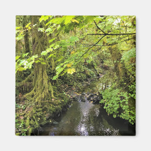 Íman Corral Creek, Oregon