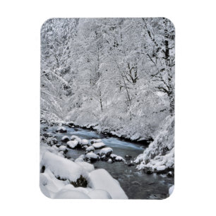 Íman Córrego branco nevado cênico, Oregon