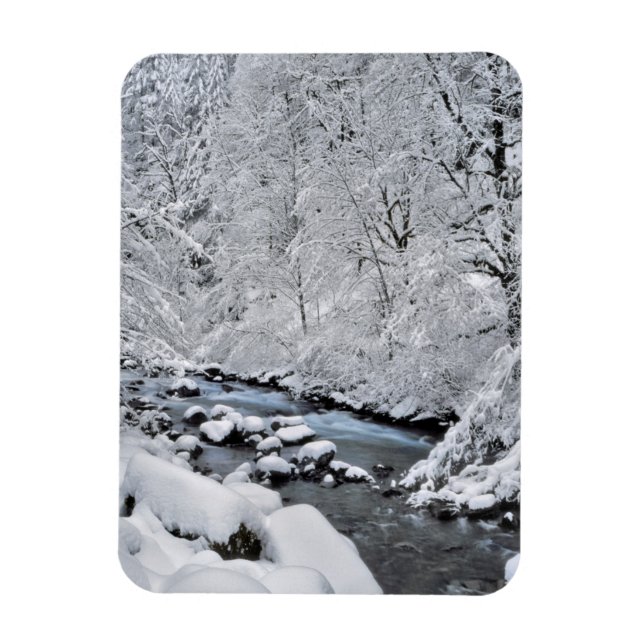 Íman Córrego branco nevado cênico, Oregon (Vertical)