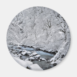 Íman Córrego branco nevado cênico, Oregon