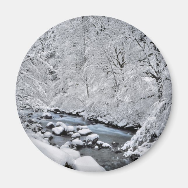 Íman Córrego branco nevado cênico, Oregon (Frente)