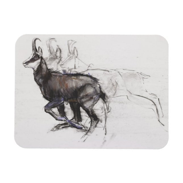 Íman Correndo Chamois (Horizontal)