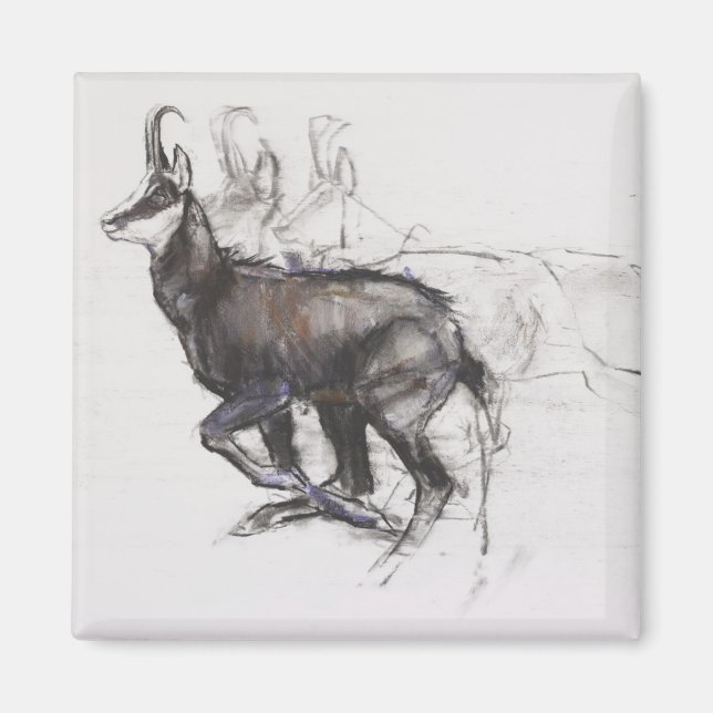 Íman Correndo Chamois (Frente)