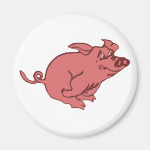 Íman corrido porco running pig