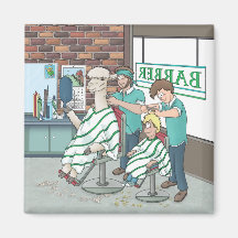 Corte de cabelo Alpaca