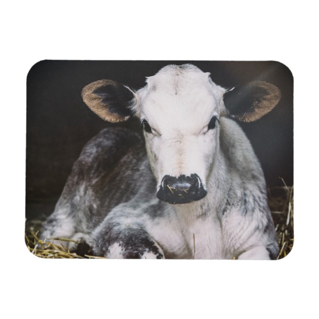 Íman Corte de Dia Ocupado (Horizontal)