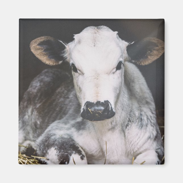 Íman Corte de Dia Ocupado (Frente)