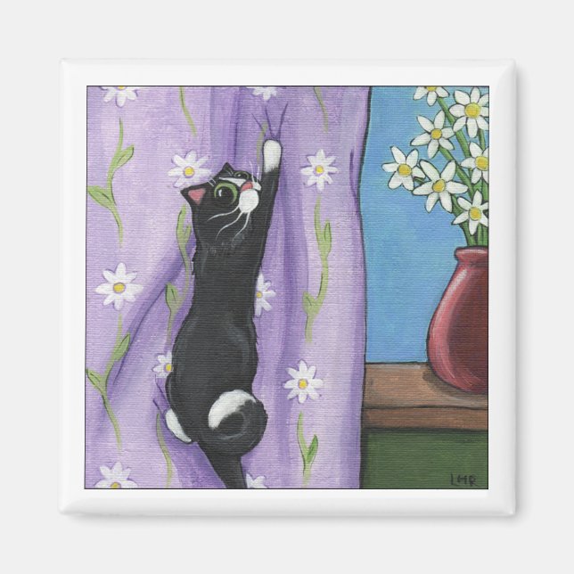 Íman Cortina de Magneto (Frente)