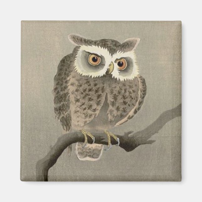 Íman coruja-de-orelha-longa (Frente)