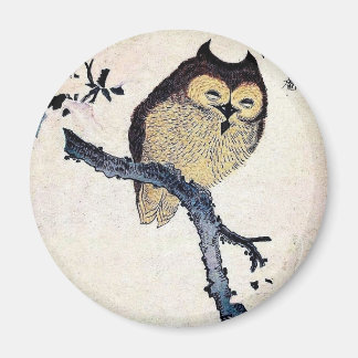 Íman Coruja Japonesa Magnet Do Manuscrito