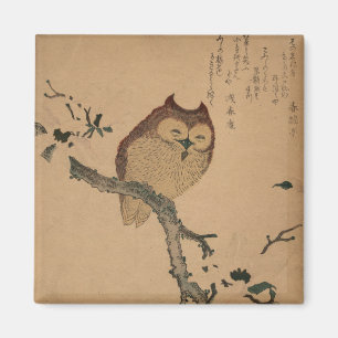 Íman Coruja & magnólia: Ímã de Ukiyo-e do japonês