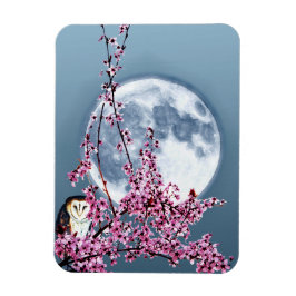 Íman Coruja na Árvore de Ameixa