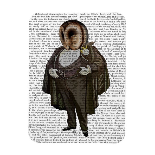 Íman Coruja Na Ópera (Vertical)