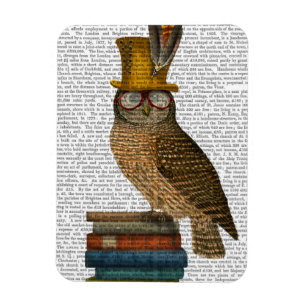 Íman Coruja nos Livros