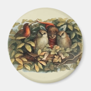 Íman Corujas e Fadas Elfos Ilustração Rica em Natureza