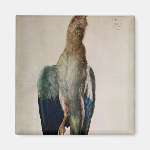 Íman Corvo azul, 1512