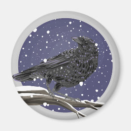Íman Corvo de Inverno