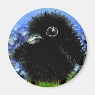 Íman Corvo do bebê