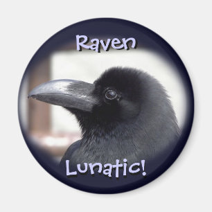 Íman Corvo excêntrico! Ímã