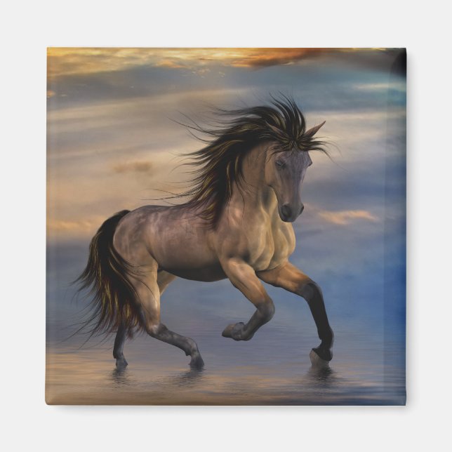 Íman Cósmico... garanhão selvagem (Frente)