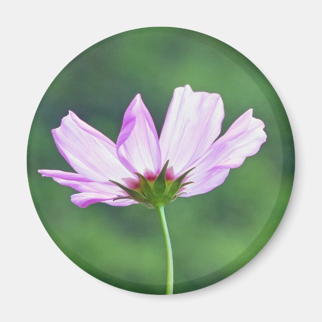 Íman Cosmos (Frente)